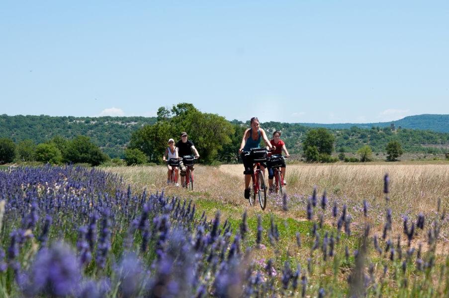 Sous Le Soleil De Provence *