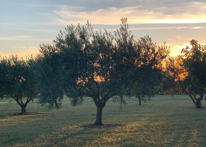 Sous Le Soleil De Provence