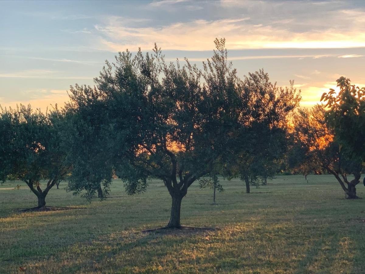 Sous Le Soleil De Provence *